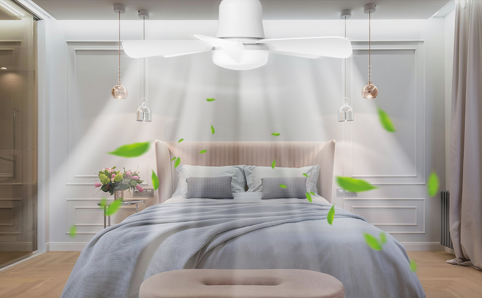 Ventilateur plafond avec lumiere