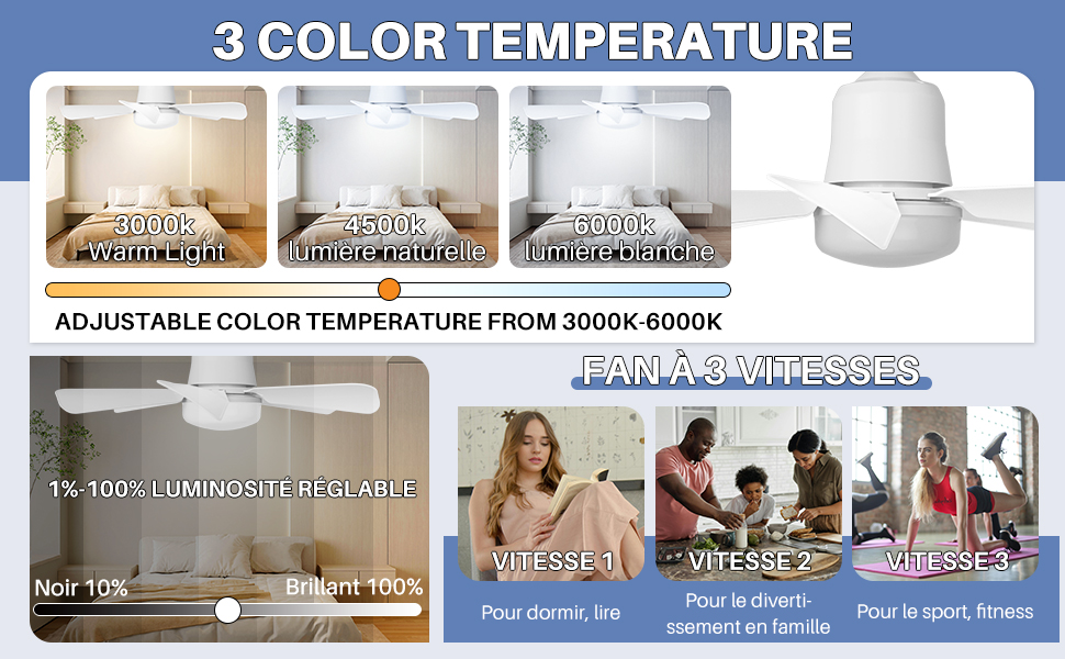 Ventilateur plafond avec lumiere