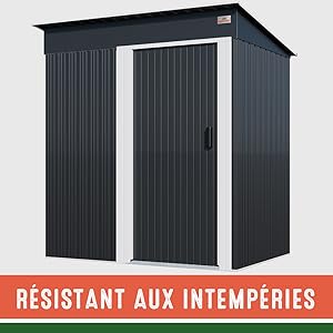 outils de jardin résistant aux intempéries cabane à outils rangement au sec brouette bricolage