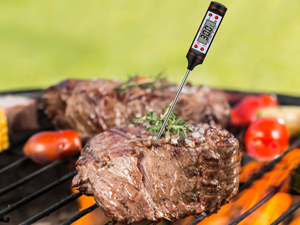 grill brush