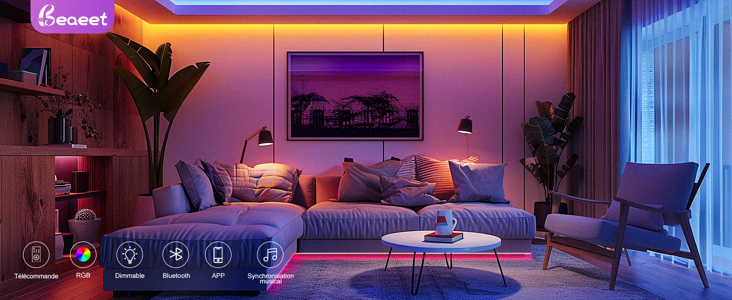ruban led 10m