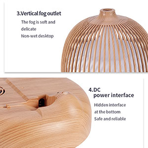 Diffuseur 