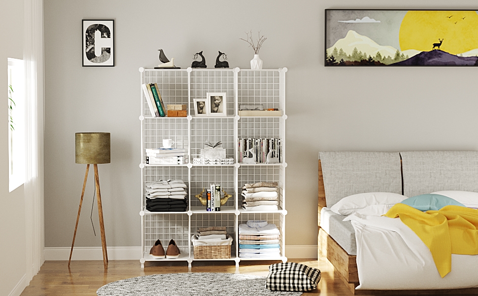Metal 12-Cube Storage