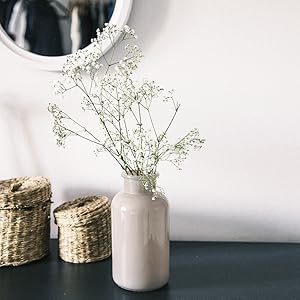 blumtal, cuisine et maison