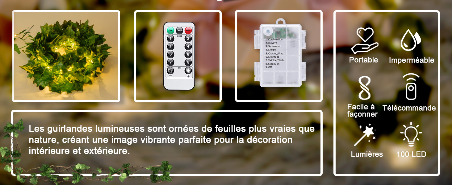 mur vegetal