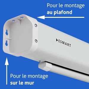 ESMART