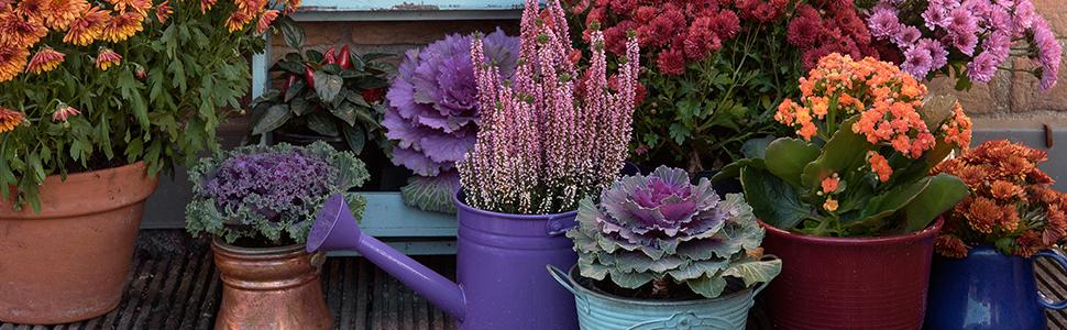 balcony planter box