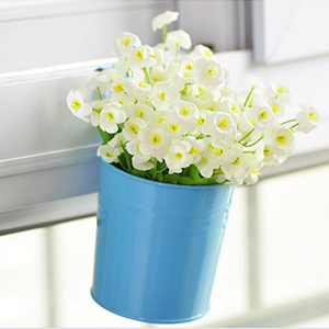 10 different colours flower pots 