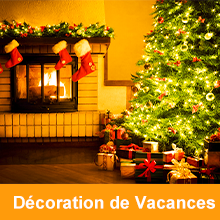 Guirlande Lumineuse de Noël