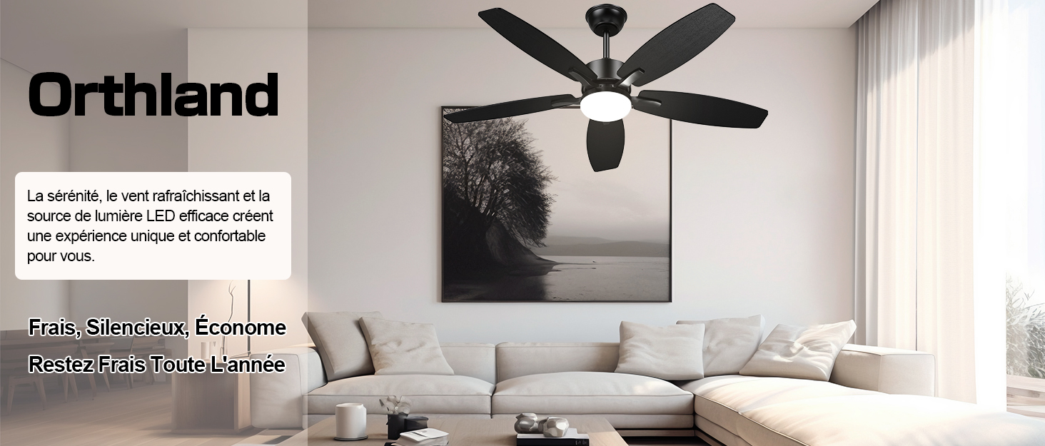 Ventilateur de plafond