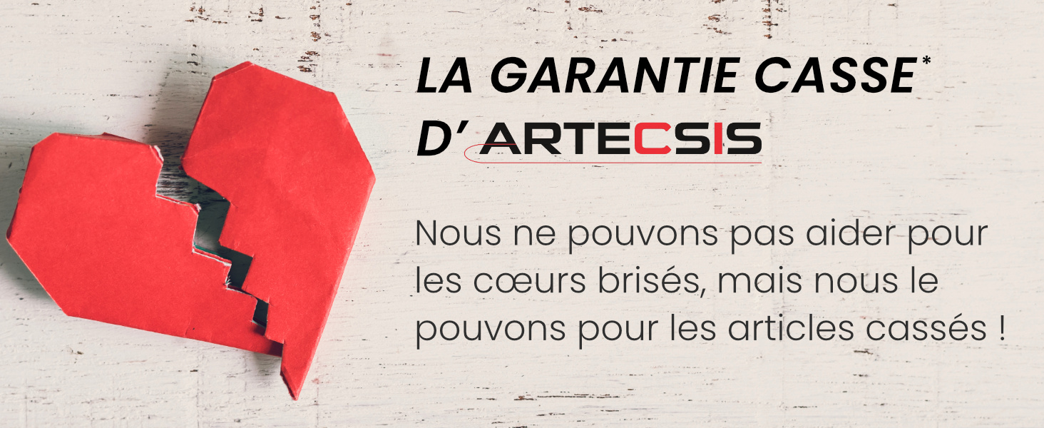 ARTECSIS contre la casse