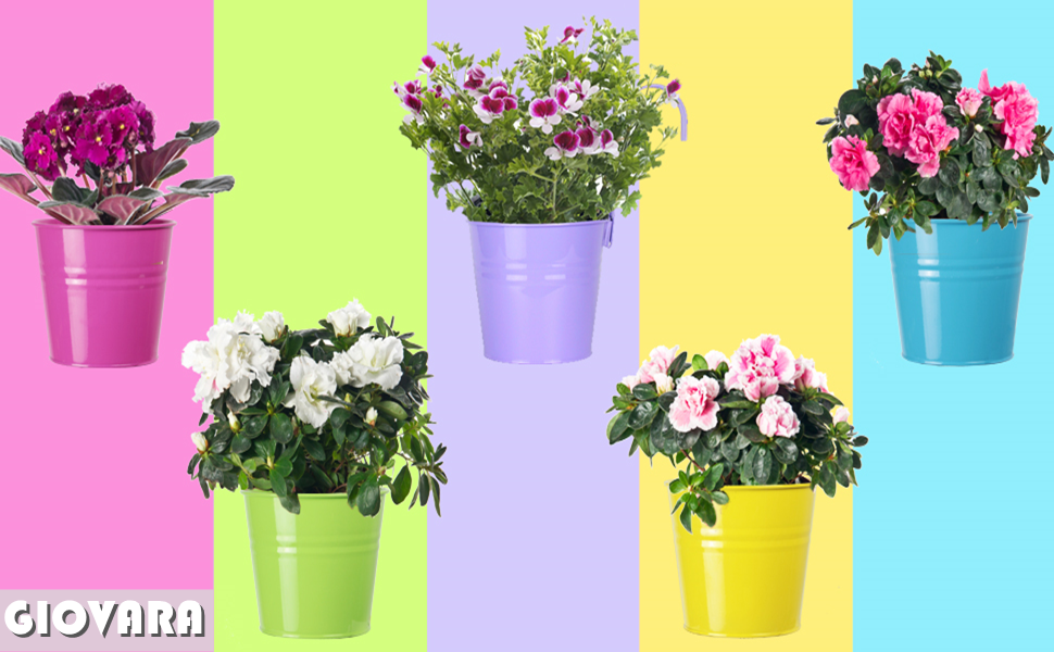 GIOVARA Colorful hanging flower pots