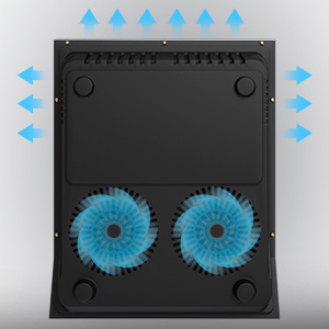 plaque induction portable