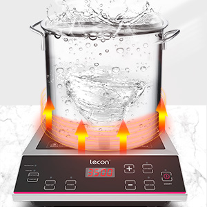plaque induction portable