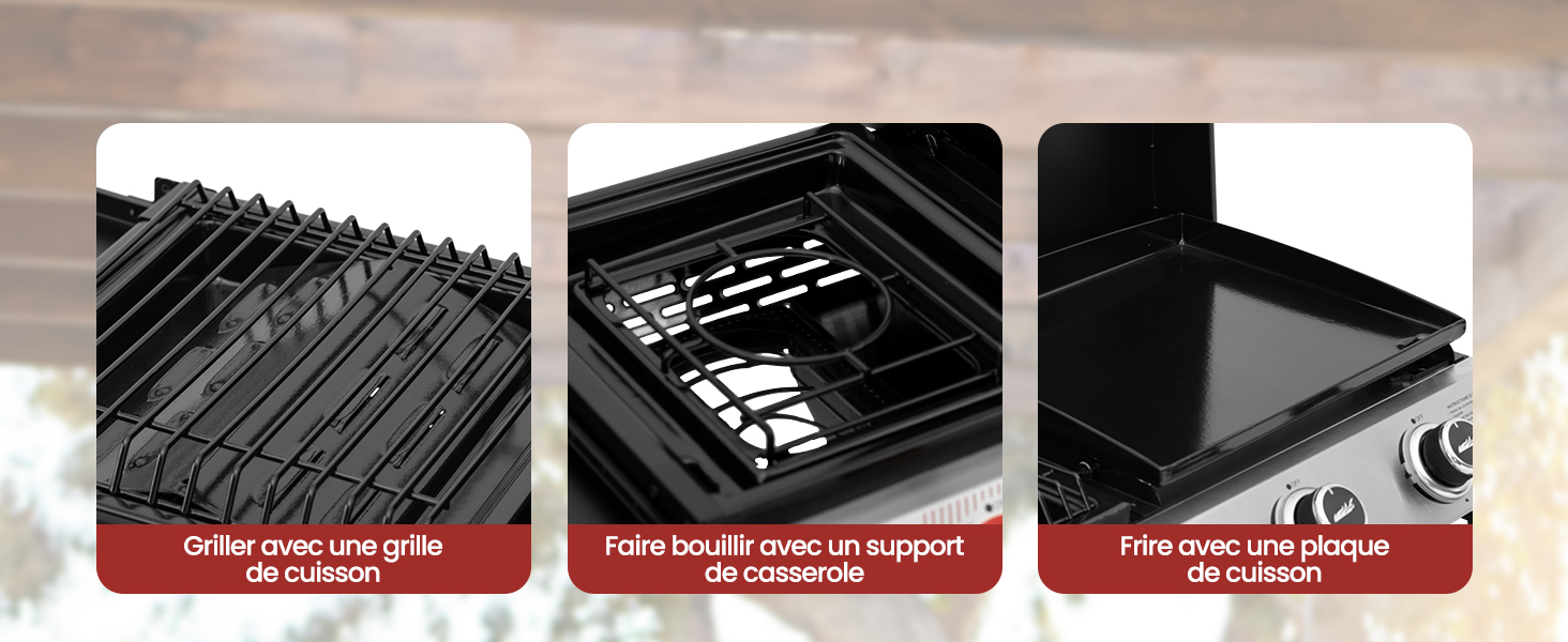 barbecue gaz 3 en 1