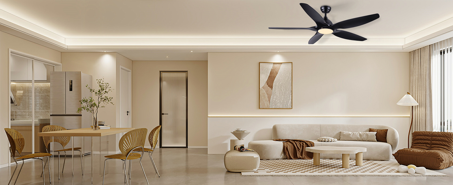 Ventilateur de Plafond avec Lampe Noir