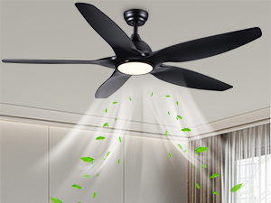 Ventilateur de Plafond avec Lampe Noir
