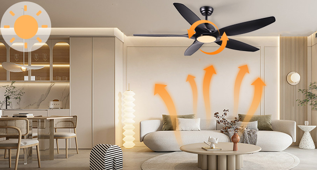 Ventilateur de Plafond avec Lampe Noir