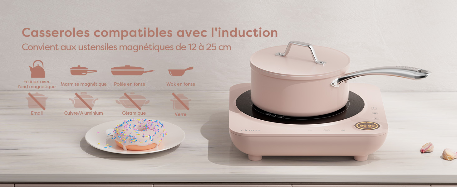 plaque de cuisson induction