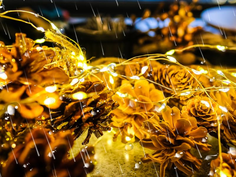 fairy lights