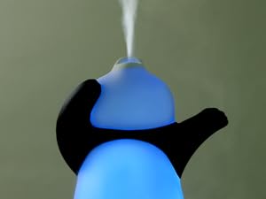 Diffuseur d'huiles essentielles