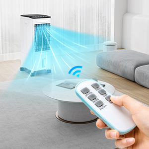remote