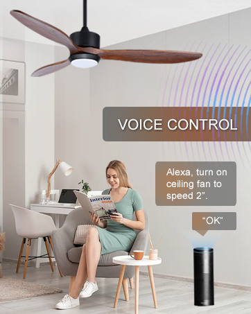 ventilateur plafond