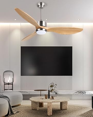 ventilateurs de plafond