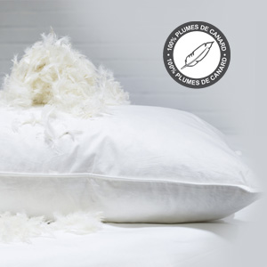 Oreillers luxueux en plumes et duvet d’oie
