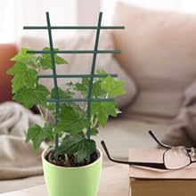 Support pour plantes