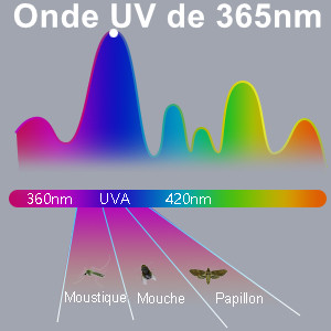 anti mouche electrique