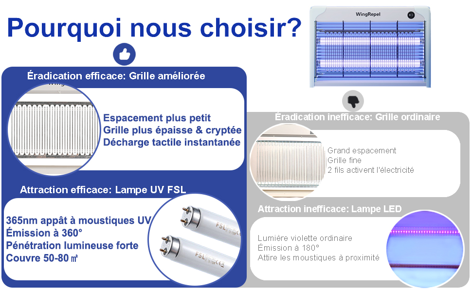tue mouche electrique interieur