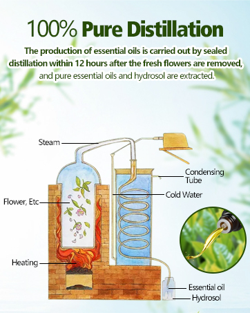 Coffret D'huiles Essentielles 
