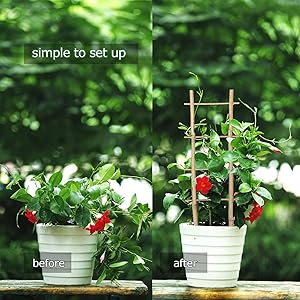 Robuste et durable avec des matériaux naturels