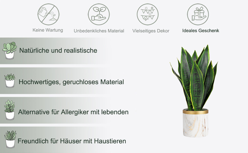 Plantes artificielles comme de vraies plantes parfaites pour la salle de bain, la chambre à