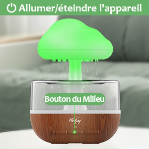 humidificateur radiateur