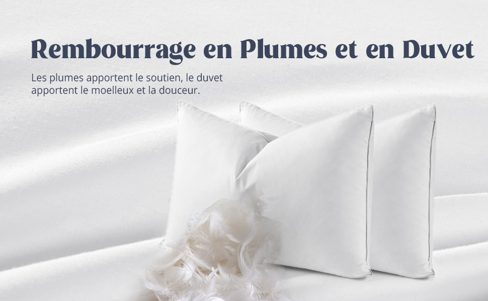 rembourrage en Plumes et en Duvet