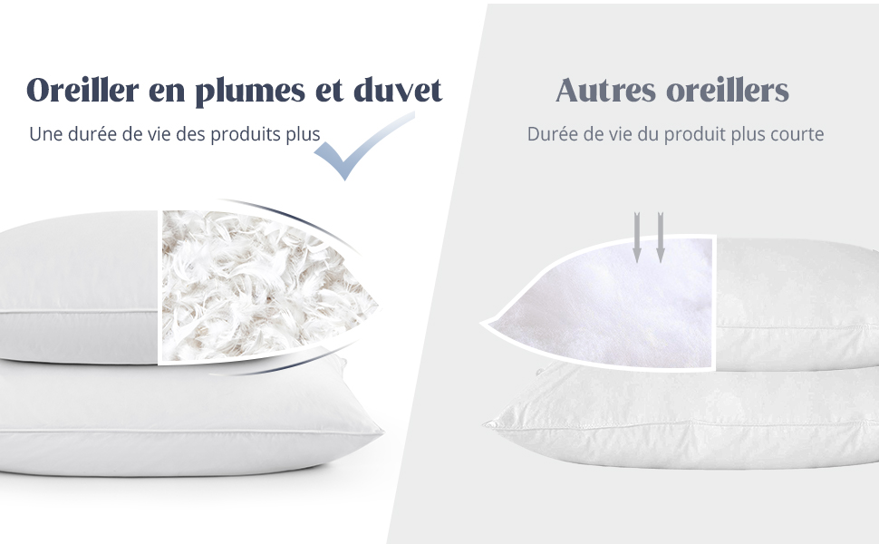 Les oreillers en plumes et duvet ont une duree de vie des produits plus