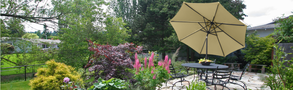 Parasol