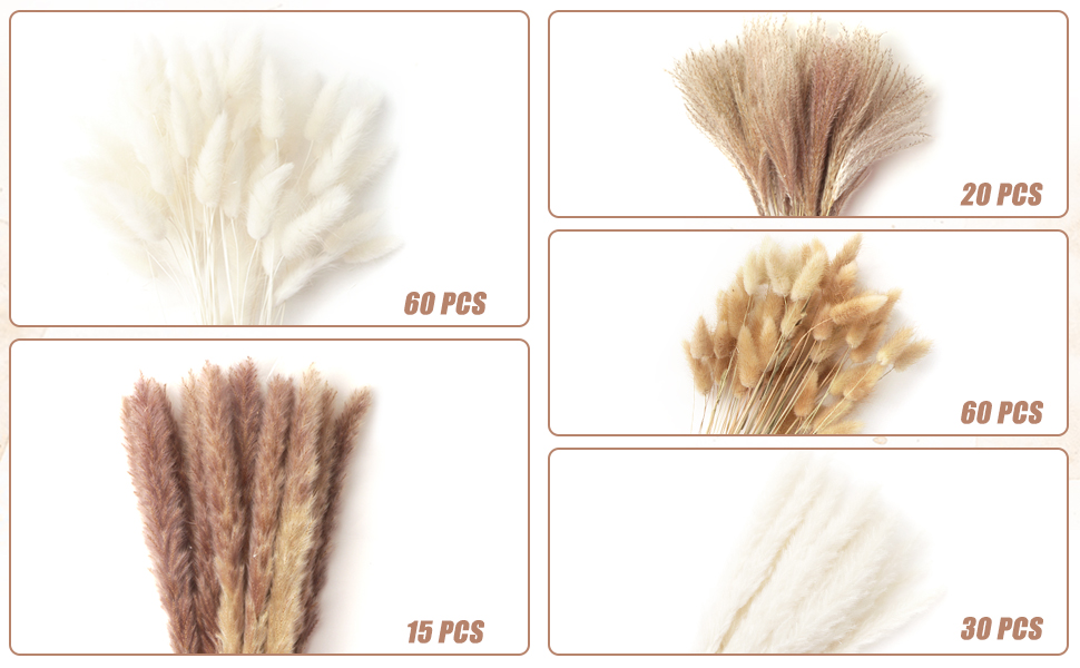 Décoration pampas Grass