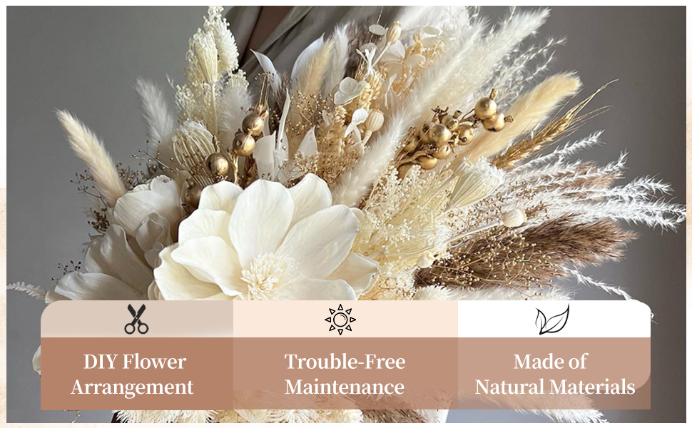 Décoration pampas Grass