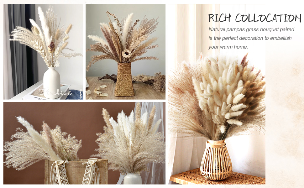 Décoration pampas Grass