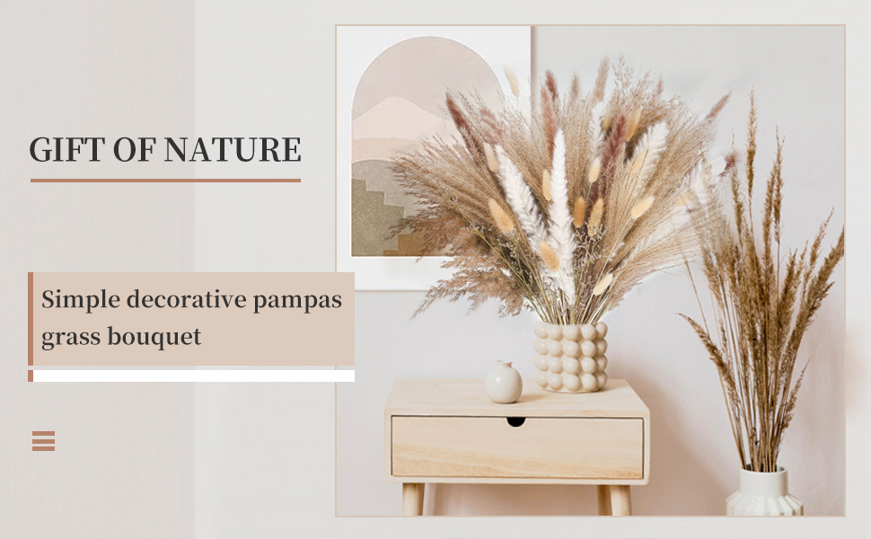 Décoration pampas Grass