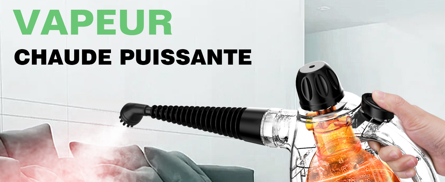 steam cleaner