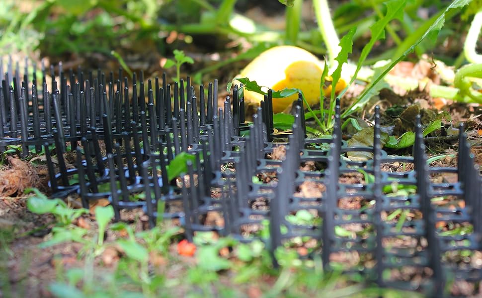 lot 4 grilles anti-nuisibles naturel protection, potagers jardinières, pics anti-pigeons, modulable 