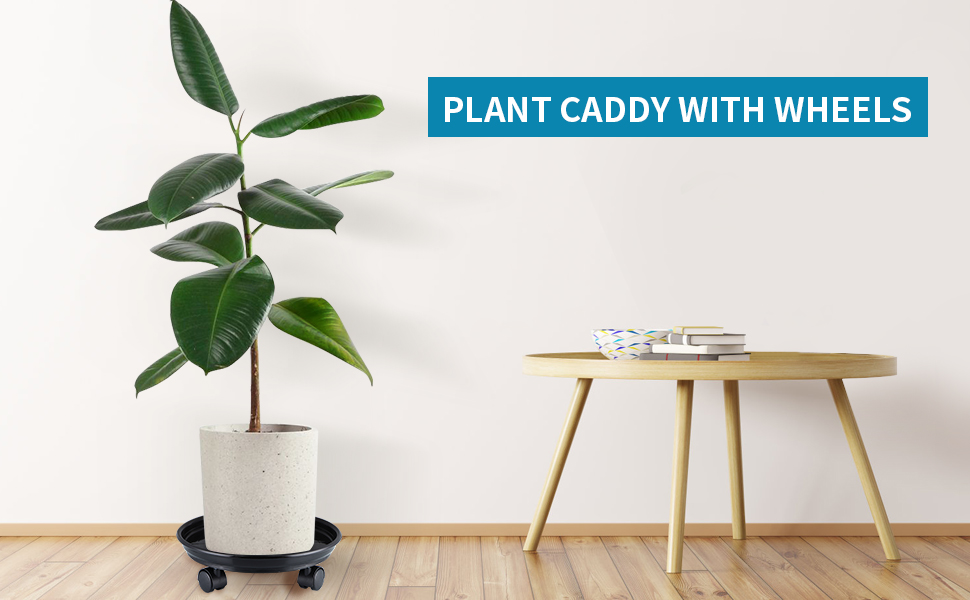 support pour plante