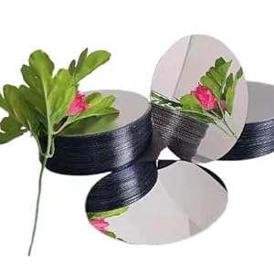 miroir acrylique rond