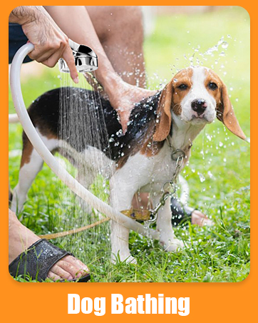 douche de camping