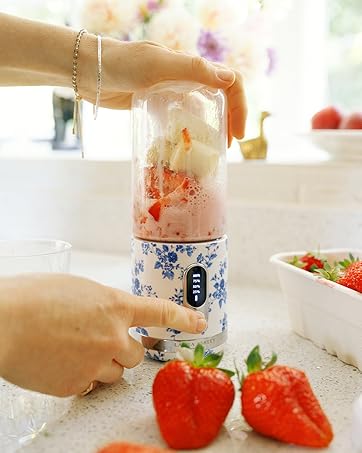 appareil à smoothie portable