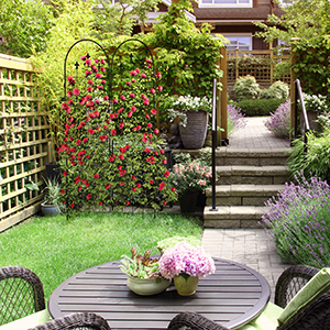 Treillis pour plantes grimpantes